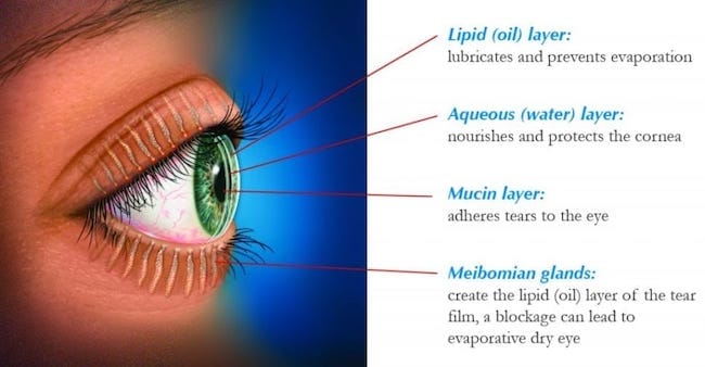 Eyeball infographic showing the eye's moisture layers.